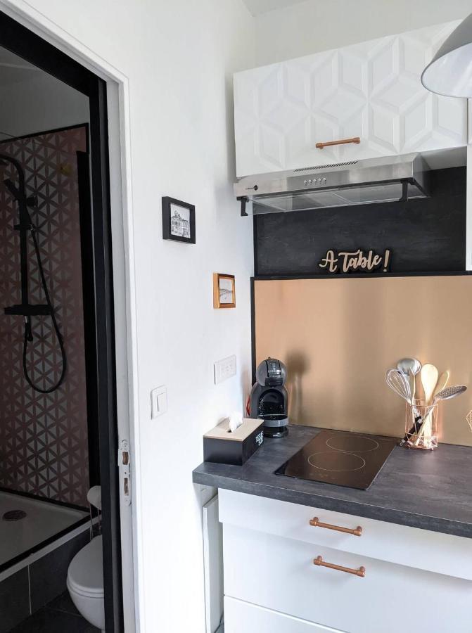 Appartement Hypercentre Calme Proche Centre Des Congres 앙제 외부 사진